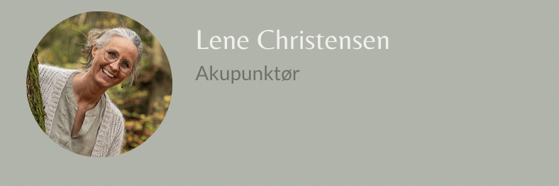 Skærmbillede 2024-11-29 kl. 11.55.58