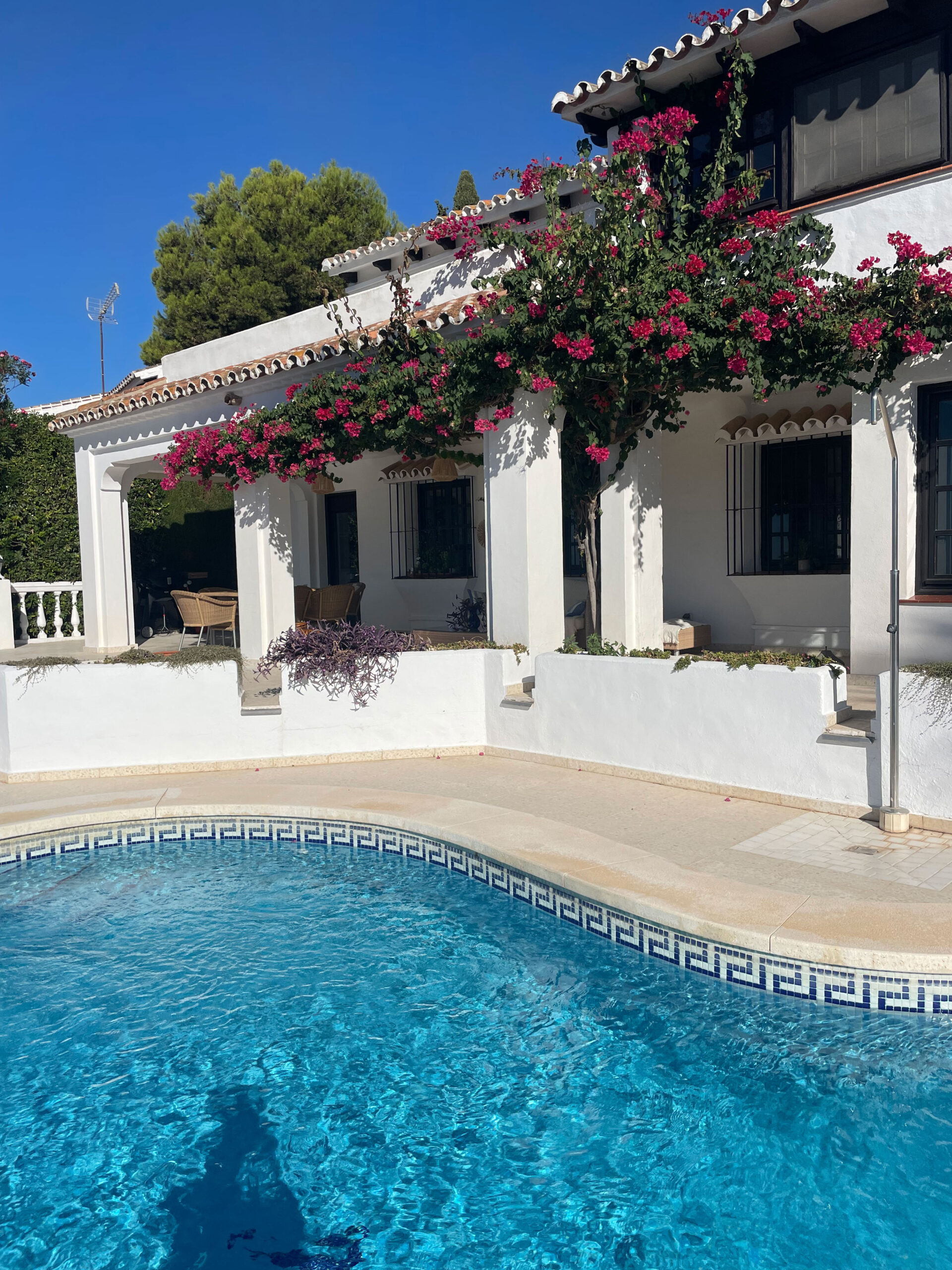sfw-pool-IMG_2317